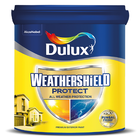Dulux Weathershield Protect